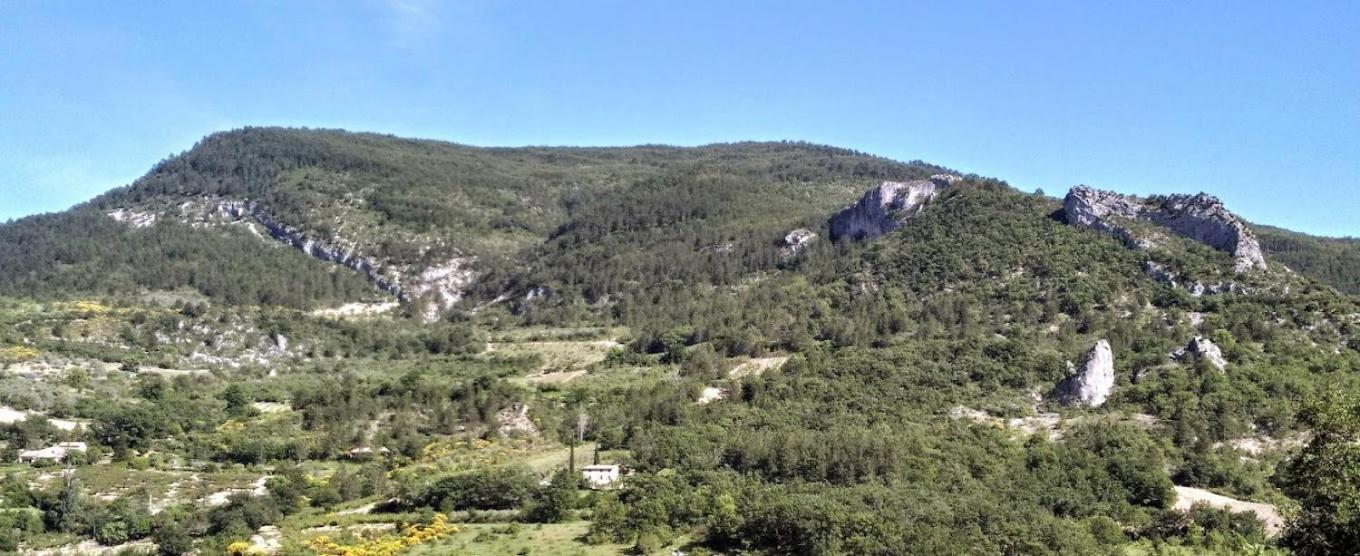 Le Mas Des Fontettes, Gite 14 Personnes, Piscine Chauffee, Propriete 5Ha, Barbecue Sahune Dış mekan fotoğraf
